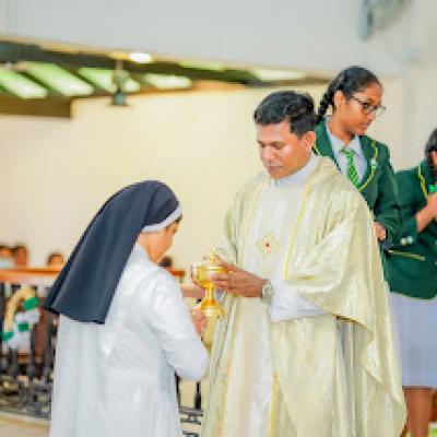 3b1de326 3f87 48b1 945b 1157ee311a82